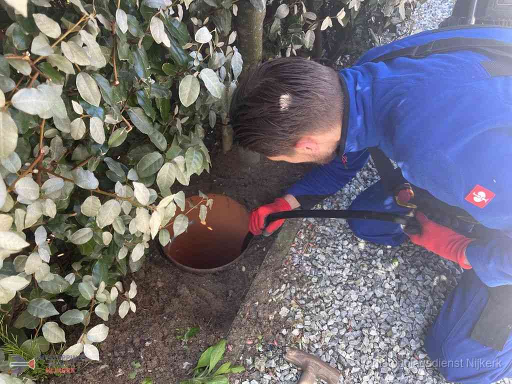 Rioolvliegjes Nijkerk Rioolvliegjes Nijkerk